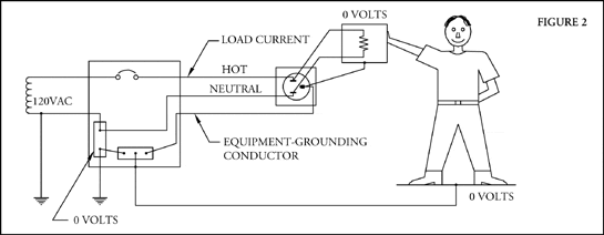 eg-fig2