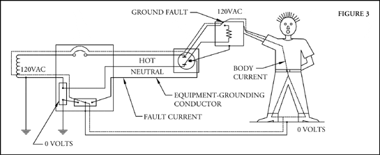 eg-fig3